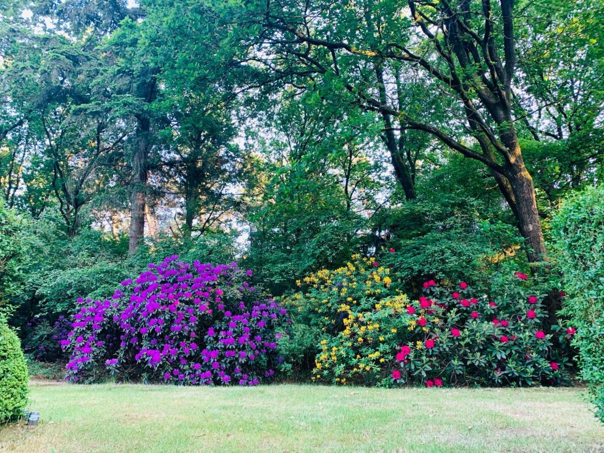 De Wollige Hooglander: In Comfort Middenin Natuur อ็อตเตอร์โล ภายนอก รูปภาพ