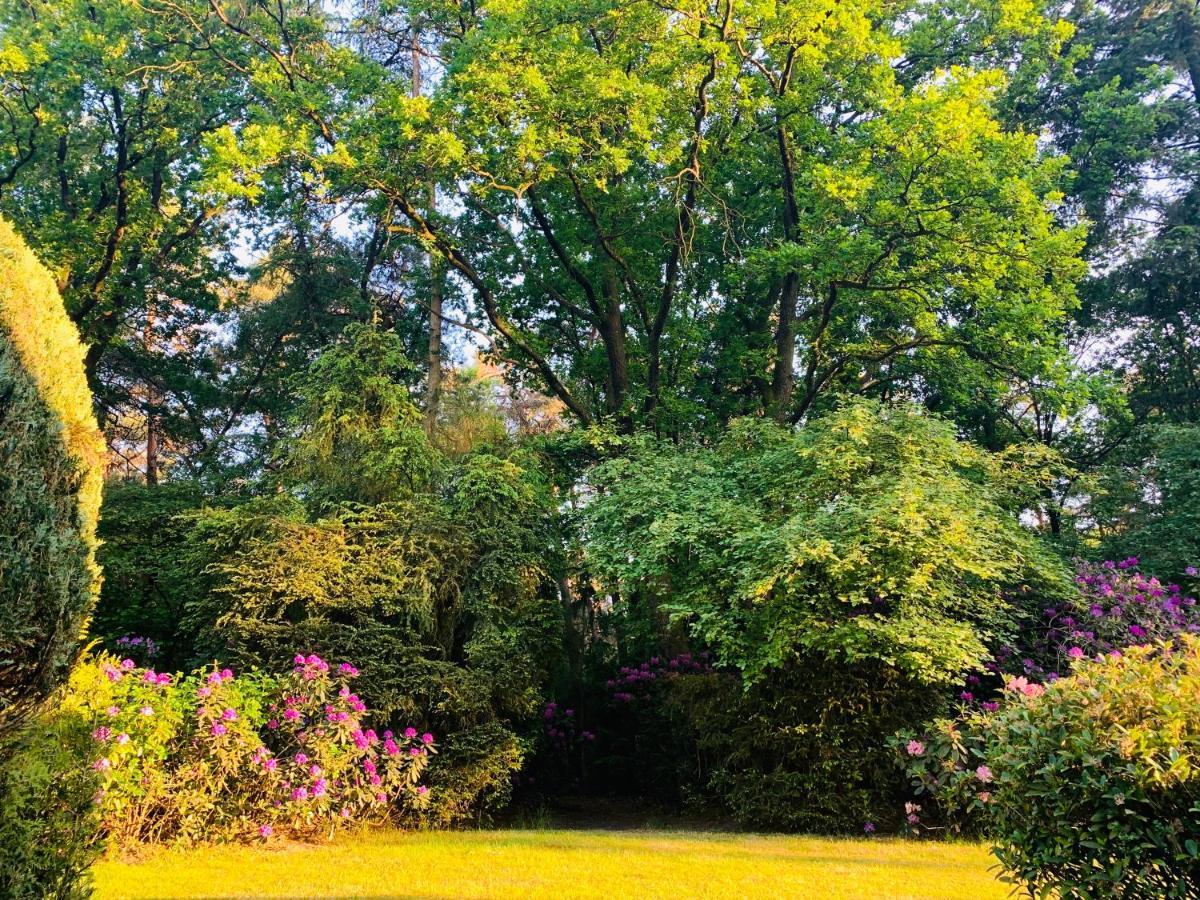 De Wollige Hooglander: In Comfort Middenin Natuur อ็อตเตอร์โล ภายนอก รูปภาพ